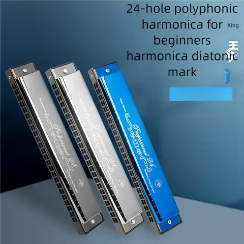 IRIN 24 Holes Professional Harmonica, Metal Harmonica Key of C With Case, Mouth Metal Organ for Beginners Musical Instruments