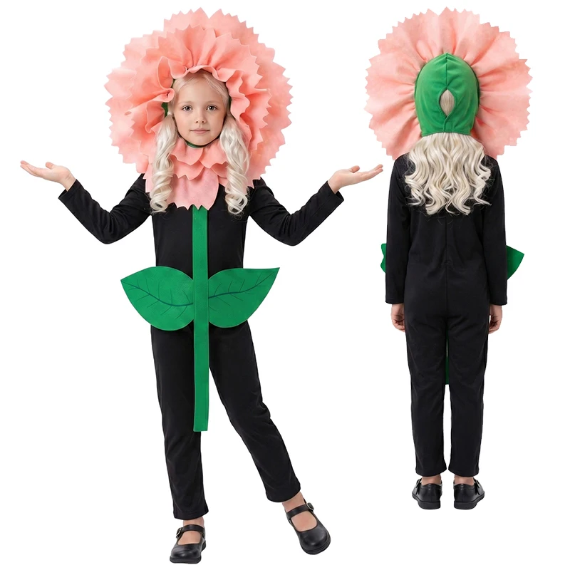 France Carnation Clove Pink Dianthus Caryophyllus Halloween Fancy Dress Girls Pink Blossom Flower Costume
France Carnation Clove Pink Dianthus Caryophyllus Halloween Fancy Dress Girls Pink Blossom Flower Costume