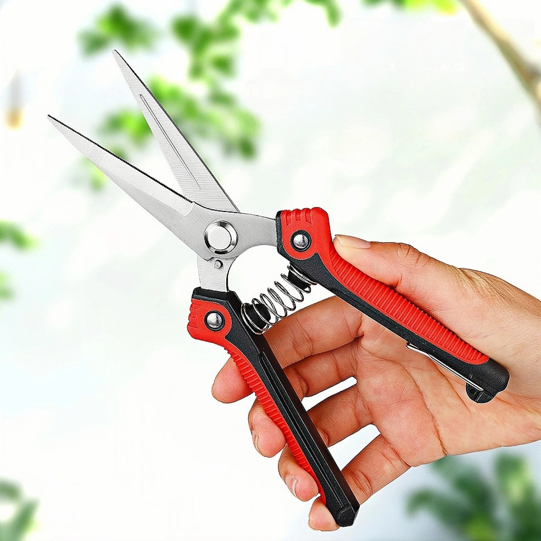 1 PCS Flower Branch Shears Stainless Steel Branch Shears Fruit Pruning Shears Gift for Mom Wife Flower Shop Supplies
1 PCS Flower Branch Shears Stainless Steel Branch Shears Fruit Pruning Shears Gift for Mom Wife Flower Shop Supplies