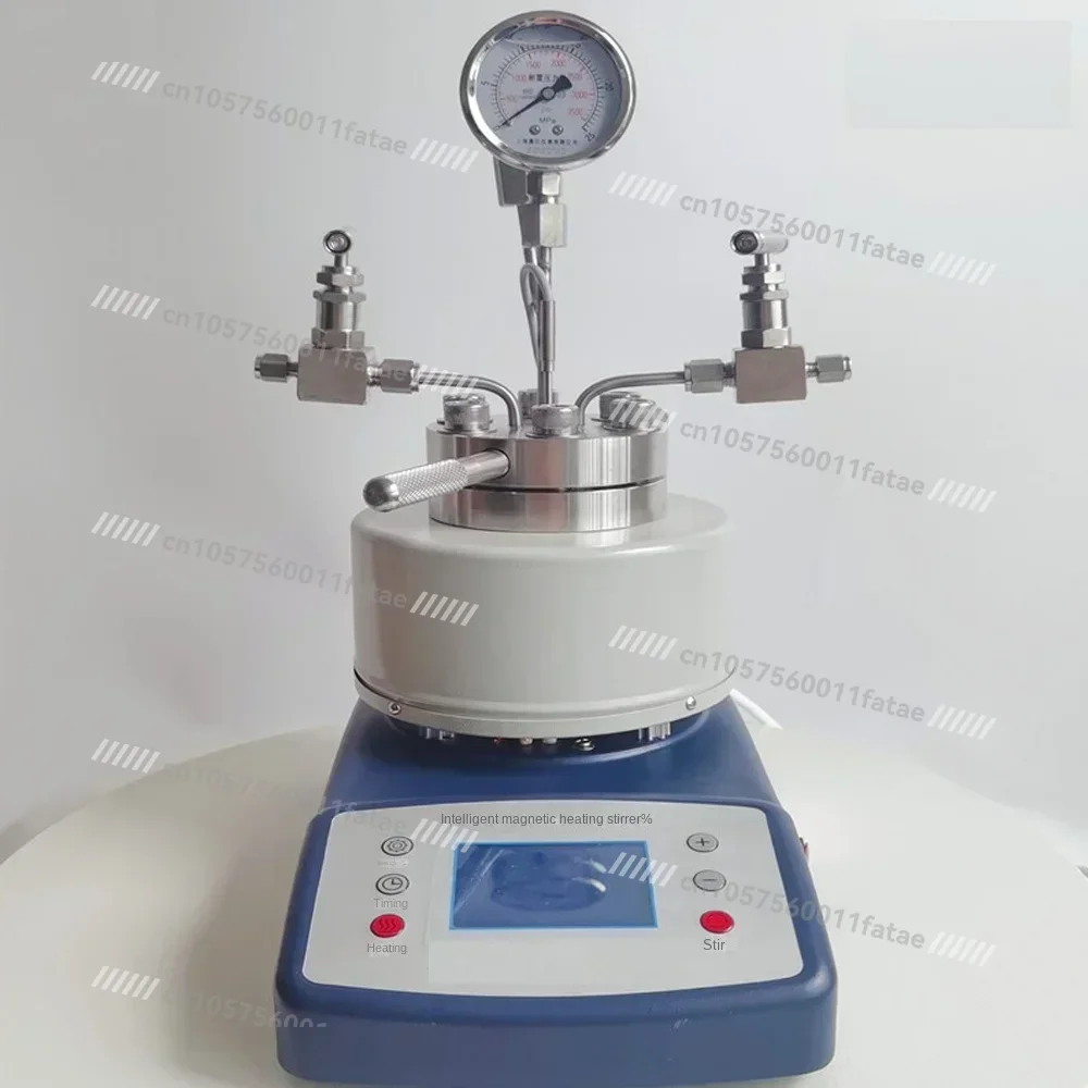 High Pressure Temperature Autoclave Reactor 50ml Magnetic Stirrer Customizable Top Quality
High Pressure Temperature Autoclave Reactor 50ml Magnetic Stirrer Customizable Top Quality