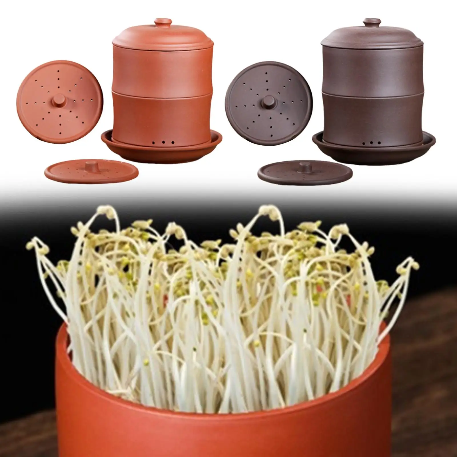 Sprout Planting Container Violet Clay Sprouting Jar Strong Growth Seed Germination Plate Breathable Pot for Kitchen Indoor Use
Sprout Planting Container Violet Clay Sprouting Jar Strong Growth Seed Germination Plate Breathable Pot for Kitchen Indoor Use