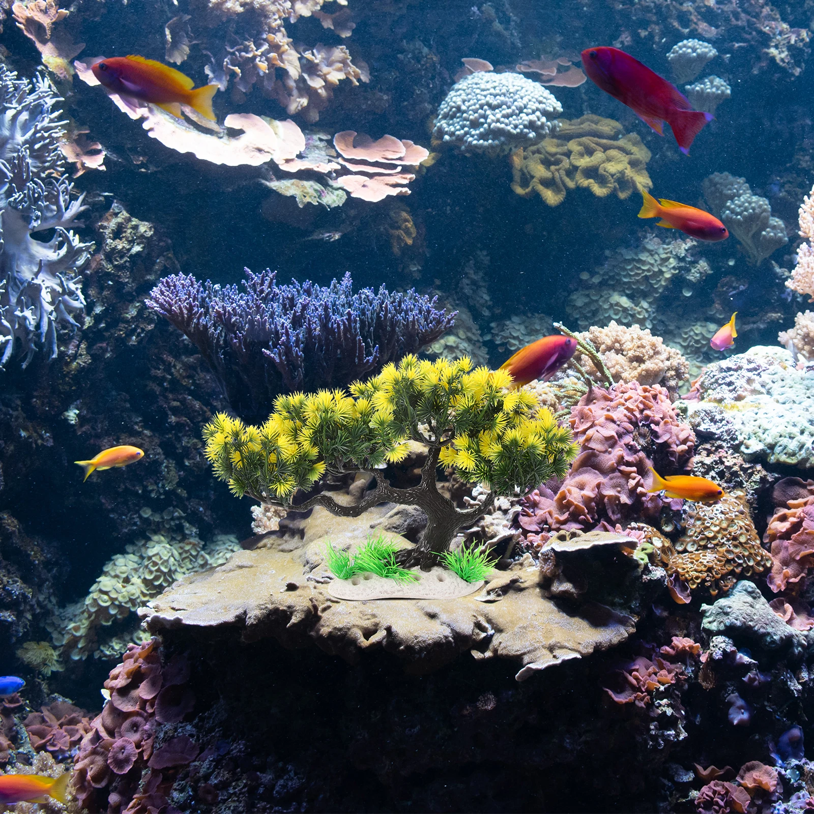 Artificial Fish Tank Tree Small Realistic Aquarium Decoration Simulation Landscape Decoration Fish Tank Tree Aquarium Decor 
Artificial Fish Tank Tree Small Realistic Aquarium Decoration Simulation Landscape Decoration Fish Tank Tree Aquarium Decor