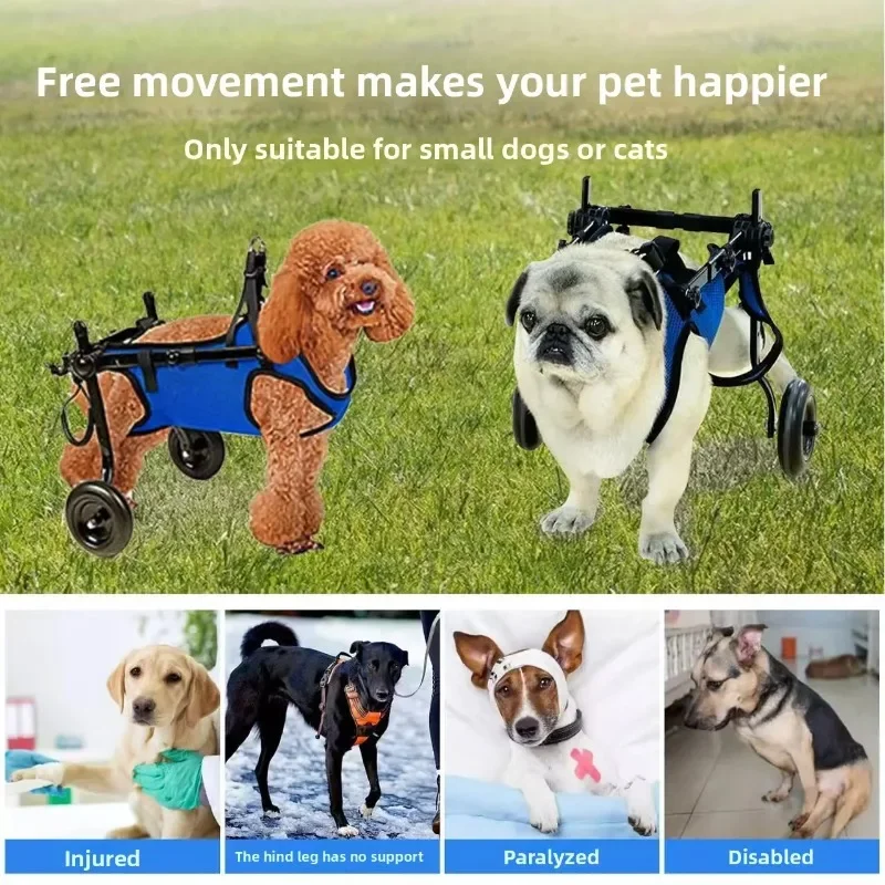 Adjustable Disabled Dog Wheelchair Pet Cart Mobility Aid For Rehabilitation Walking Support Harness With Wheels For Cats Dogs
Adjustable Disabled Dog Wheelchair Pet Cart Mobility Aid For Rehabilitation Walking Support Harness With Wheels For Cats Dogs