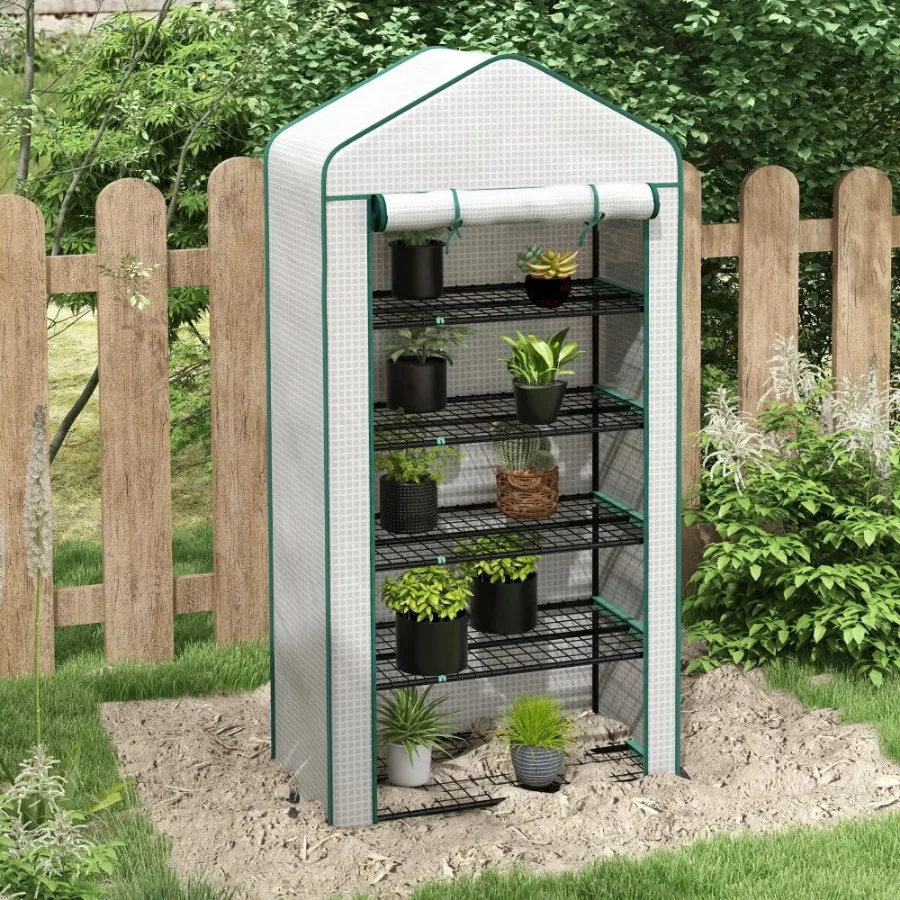 House Greenhouse, 2026 year
House Greenhouse, 2026 year