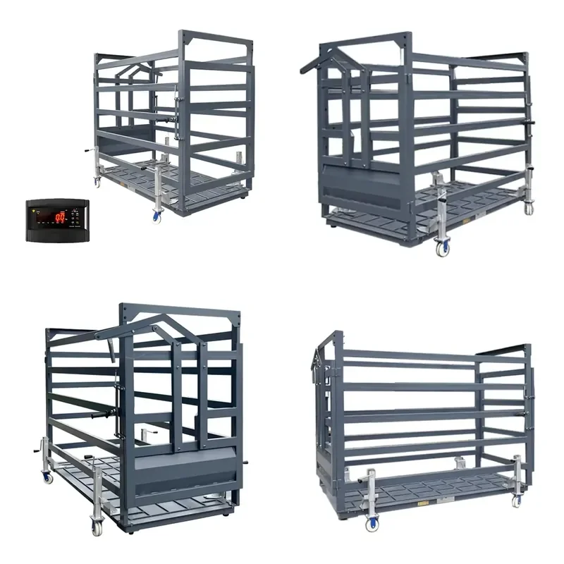 YWM Certificate Farm Use Carbon Steel Livestock Scale with Remote Control - Cattle Enclosure Weighing System
YWM Certificate Farm Use Carbon Steel Livestock Scale with Remote Control - Cattle Enclosure Weighing System