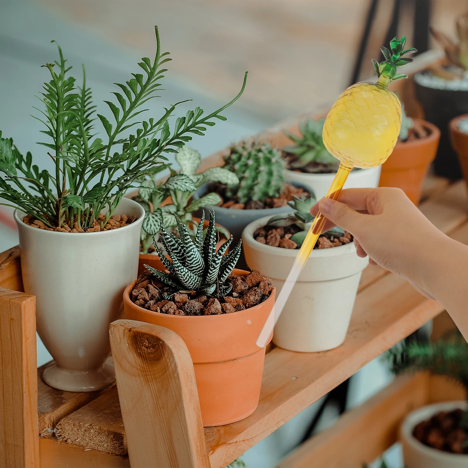 Self-Watering Globes High Transparency Glass Plant Watering Device Save Efforts and Time Home Gardening Perfect
Self-Watering Globes High Transparency Glass Plant Watering Device Save Efforts and Time Home Gardening Perfect