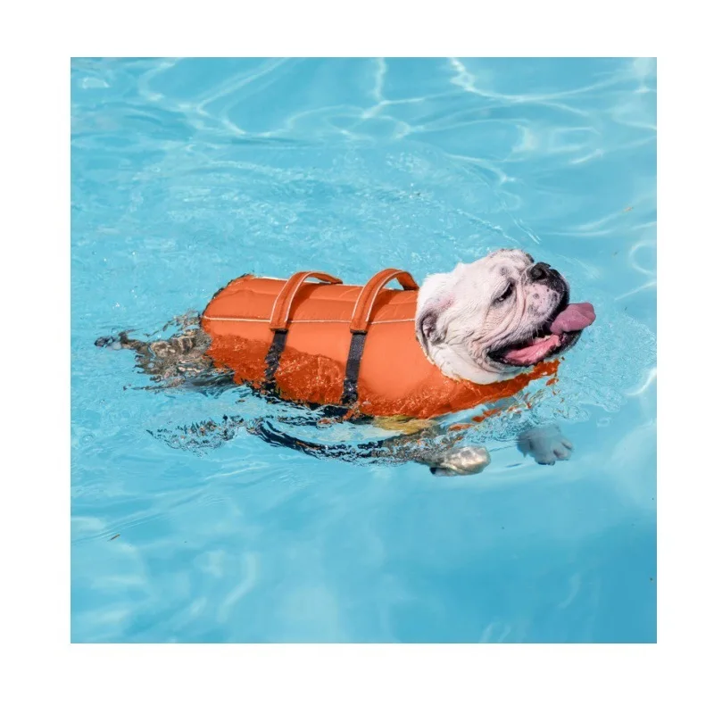 Pet Durable Tear Resistant Dog Life Vest Adjustable Reflective Dog Swimming Vest Enhanced Buoyancy Vest
Pet Durable Tear Resistant Dog Life Vest Adjustable Reflective Dog Swimming Vest Enhanced Buoyancy Vest