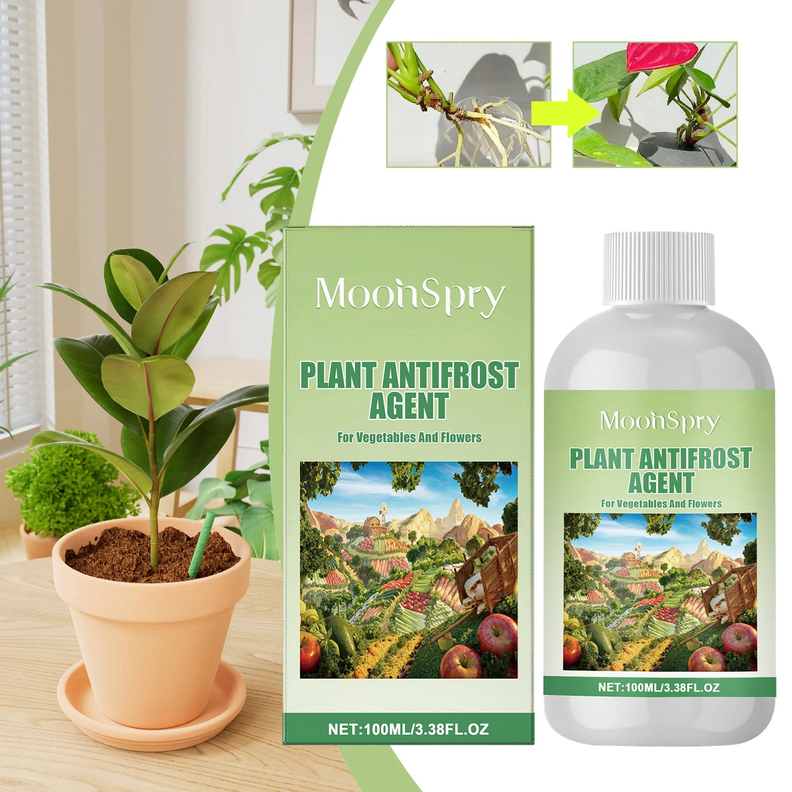 Plant Antifrost Agents Frosts Protector for Plant Long-Lasting Cold-Proof Plant Protection Agents from Frosts Damage
Plant Antifrost Agents Frosts Protector for Plant Long-Lasting Cold-Proof Plant Protection Agents from Frosts Damage