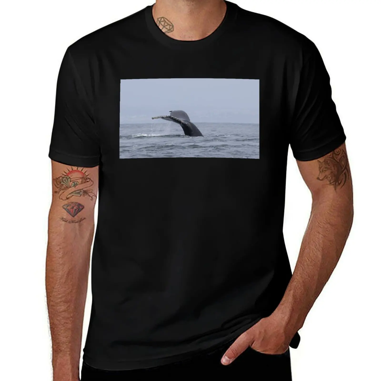 Humpback Whale T-Shirt graphic shirts summer 2025 vintage slim fit t shirts for men
Humpback Whale T-Shirt graphic shirts summer 2025 vintage slim fit t shirts for men
