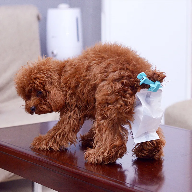 Plastic Dog Toilet Picker Clips with 20 Bags Replaceable Poop Bags Dispenser Dispensador Bolsas Sac a Crotte Puppy Accessories
Plastic Dog Toilet Picker Clips with 20 Bags Replaceable Poop Bags Dispenser Dispensador Bolsas Sac a Crotte Puppy Accessories