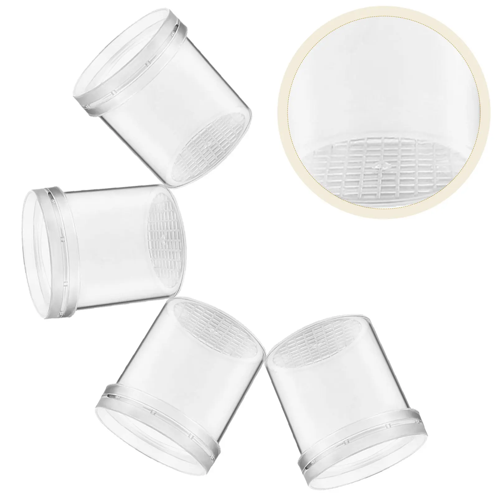 5pcs Insect Observation Cup Magnifier Jar For Kids Experiment Student Container With Air Holes Measuring Grid
5pcs Insect Observation Cup Magnifier Jar For Kids Experiment Student Container With Air Holes Measuring Grid