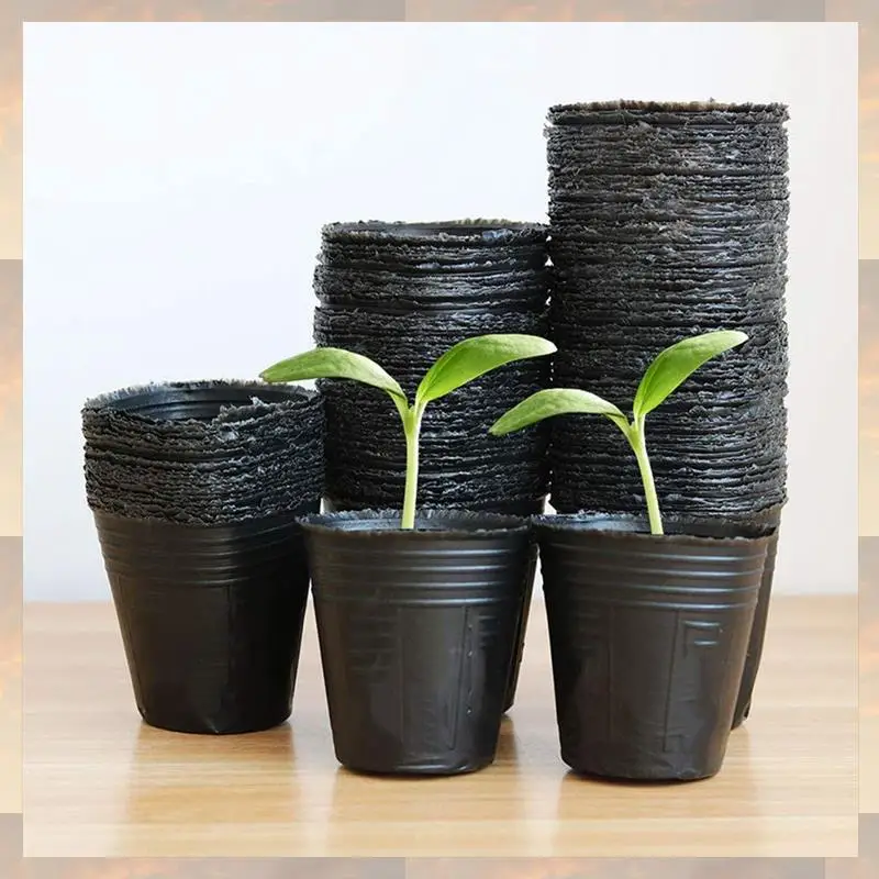 Flash Trend 1500Pcs Nursery Pot Plastic Plant Propagation Container Grow Bag Garden Supplies 8Cmx8cm
Flash Trend 1500Pcs Nursery Pot Plastic Plant Propagation Container Grow Bag Garden Supplies 8Cmx8cm