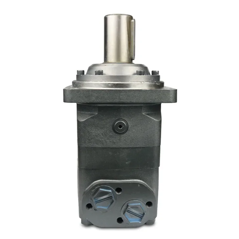 Серия OMV-315 OMV-400 OMV-630 OMV-800 OMV-985 Гидравлический двигатель орбита золотникового клапана
Серия OMV-315 OMV-400 OMV-630 OMV-800 OMV-985 Гидравлический двигатель орбита золотникового клапана