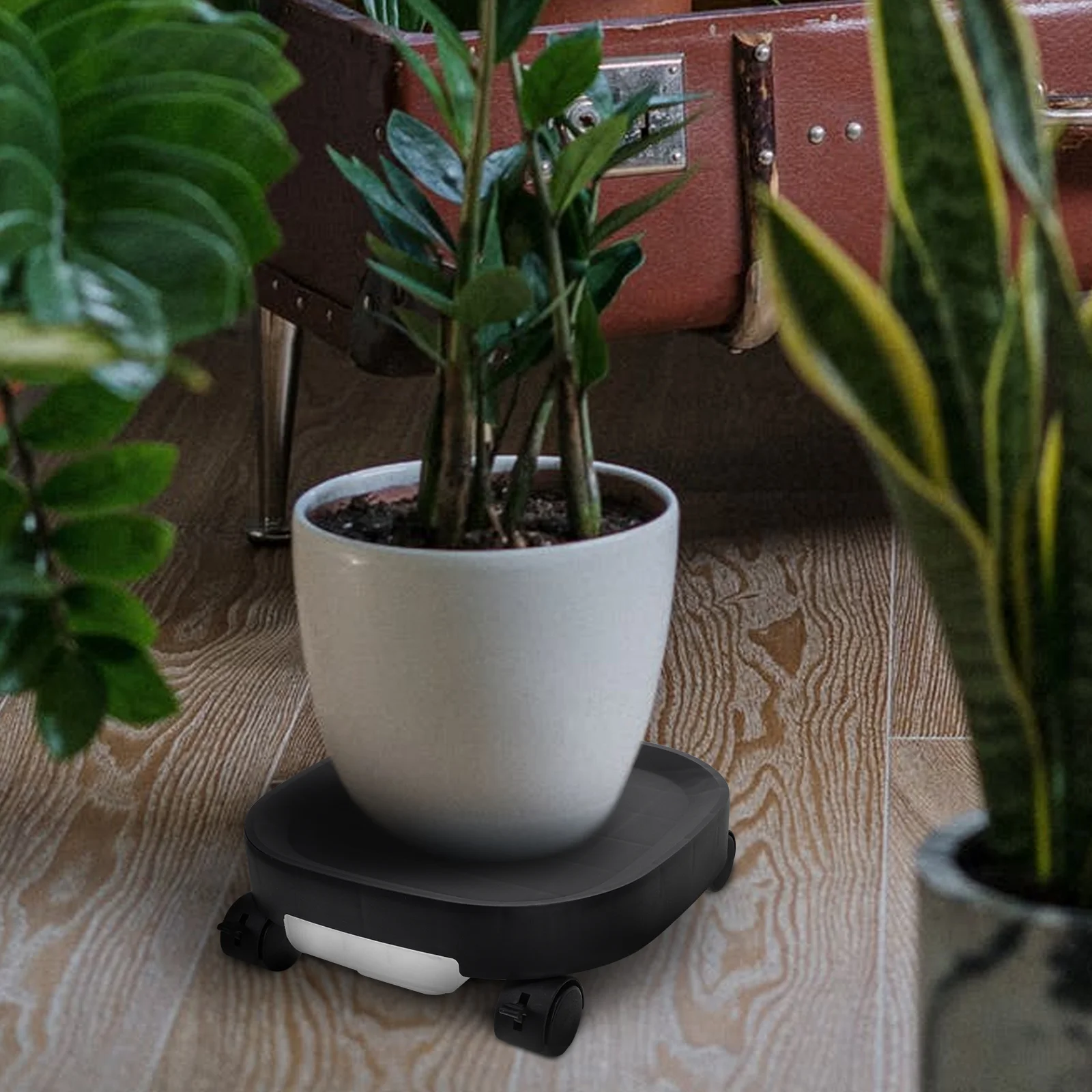 Indoor Plants Wheeled Flower Tray Planter Stand with Wheels Base Pot Mobile Household Stands Holder Black for
Indoor Plants Wheeled Flower Tray Planter Stand with Wheels Base Pot Mobile Household Stands Holder Black for