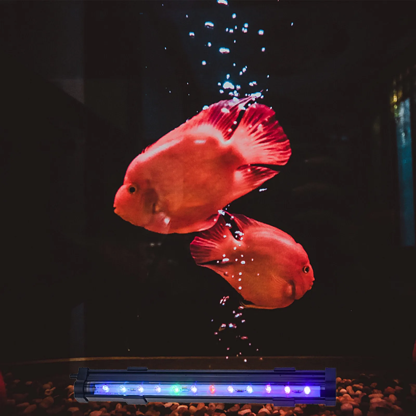 Светодиодная лампа Fade Bubble для аквариумов: мощное освещение, способствует фотосинтезу, 15 Вт, черный, вилка стандарта США
Светодиодная лампа Fade Bubble для аквариумов: мощное освещение, способствует фотосинтезу, 15 Вт, черный, вилка стандарта США