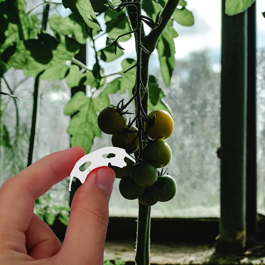 100Pcs Plant Bending Clips Plastic Stem Support Clamp for Tomatoes Gardening Trainer Branches Fixing Clip 90 Degree Plant
100Pcs Plant Bending Clips Plastic Stem Support Clamp for Tomatoes Gardening Trainer Branches Fixing Clip 90 Degree Plant