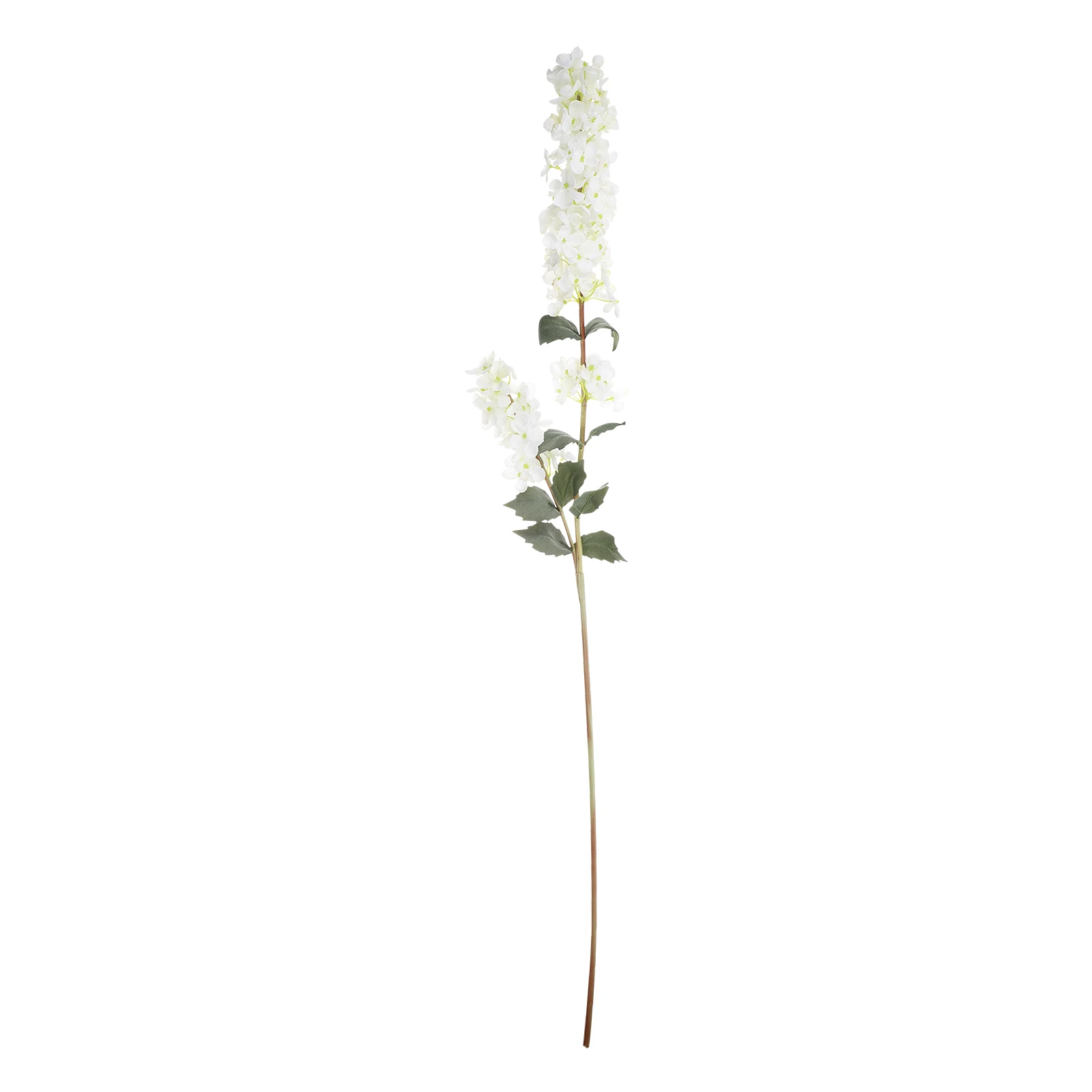 Artificial Hyacinth Plastic Green Decorative Wedding Home Realistic Fake Flowers Fake Hyacinth Flowers Room Bouquet
Artificial Hyacinth Plastic Green Decorative Wedding Home Realistic Fake Flowers Fake Hyacinth Flowers Room Bouquet