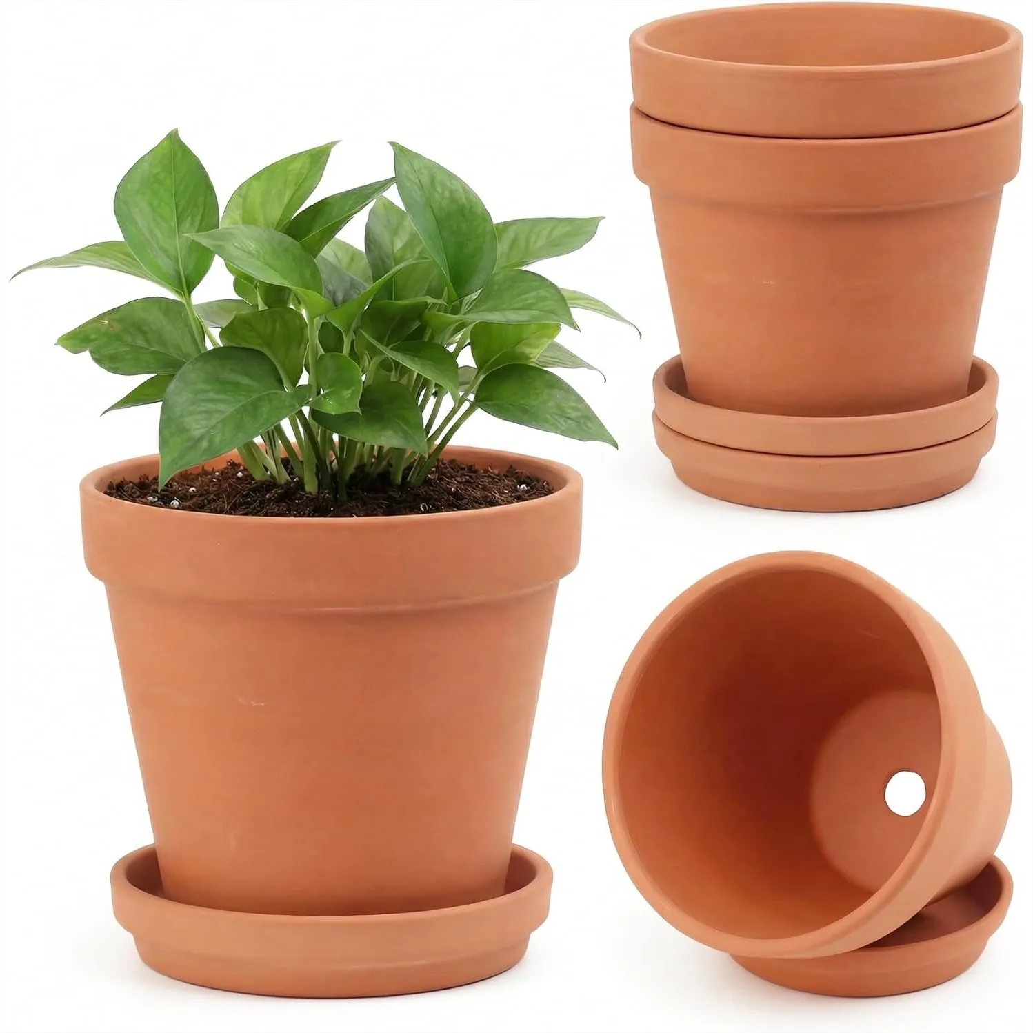 6 Inch Terracotta Pots with Saucers, 4 Pack Medium Clay Flower Pots with Drainage Hole for Succulents, Cactus Indoor Plants
6 Inch Terracotta Pots with Saucers, 4 Pack Medium Clay Flower Pots with Drainage Hole for Succulents, Cactus Indoor Plants