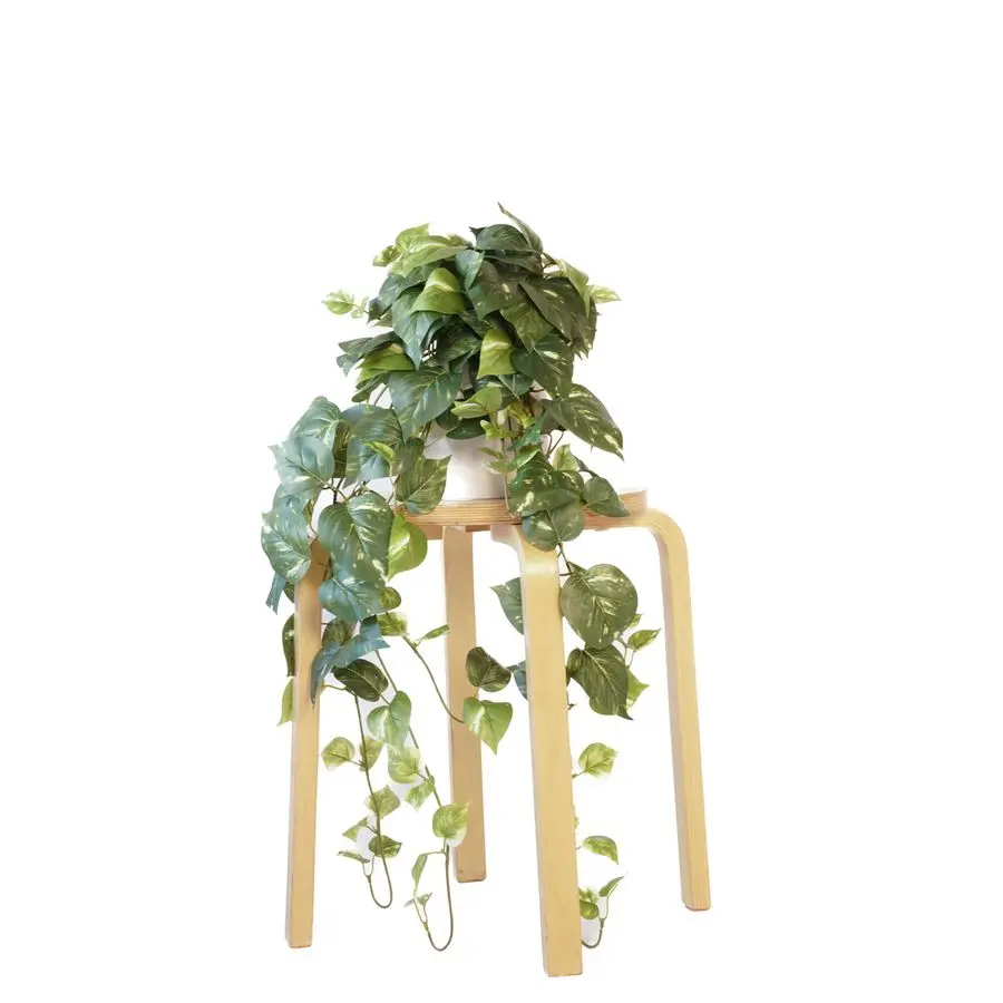 32 реалистичных искусственных растения Потос (плющ) для домашнего декора, шелковые, разноцветные, светло- и темно-зеленые
32 реалистичных искусственных растения Потос (плющ) для домашнего декора, шелковые, разноцветные, светло- и темно-зеленые