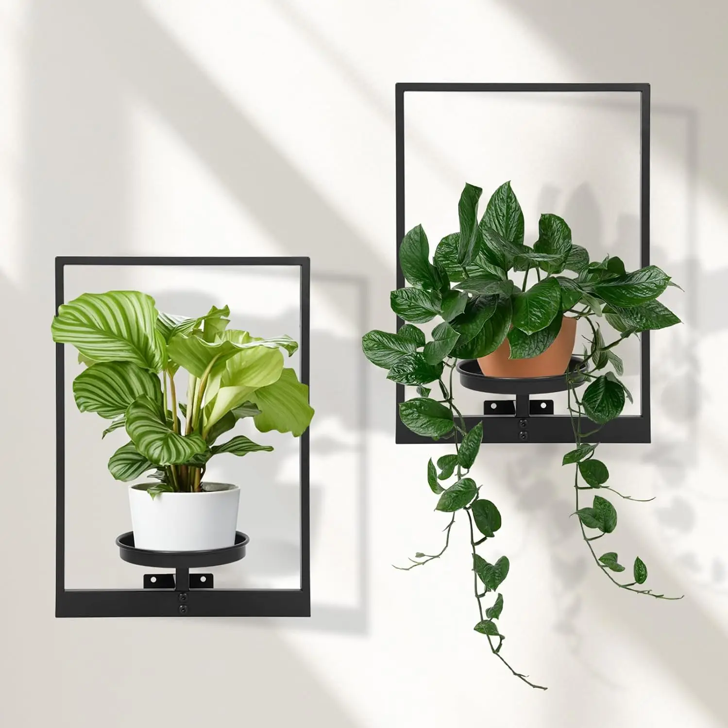 Set of 2 Metal Wall Plant Shelves for Indoor and Outdoor Decor, Rust-Resistant Hanging Plant Holder
Set of 2 Metal Wall Plant Shelves for Indoor and Outdoor Decor, Rust-Resistant Hanging Plant Holder