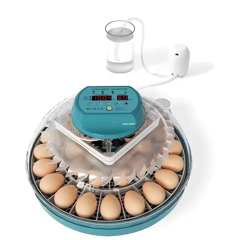 Factory Direct Fully Intelligent Flying Saucer Incubator For Ostrich Chicken Duck Eggs Automatic Egg Turning Electric PP
Factory Direct Fully Intelligent Flying Saucer Incubator For Ostrich Chicken Duck Eggs Automatic Egg Turning Electric PP