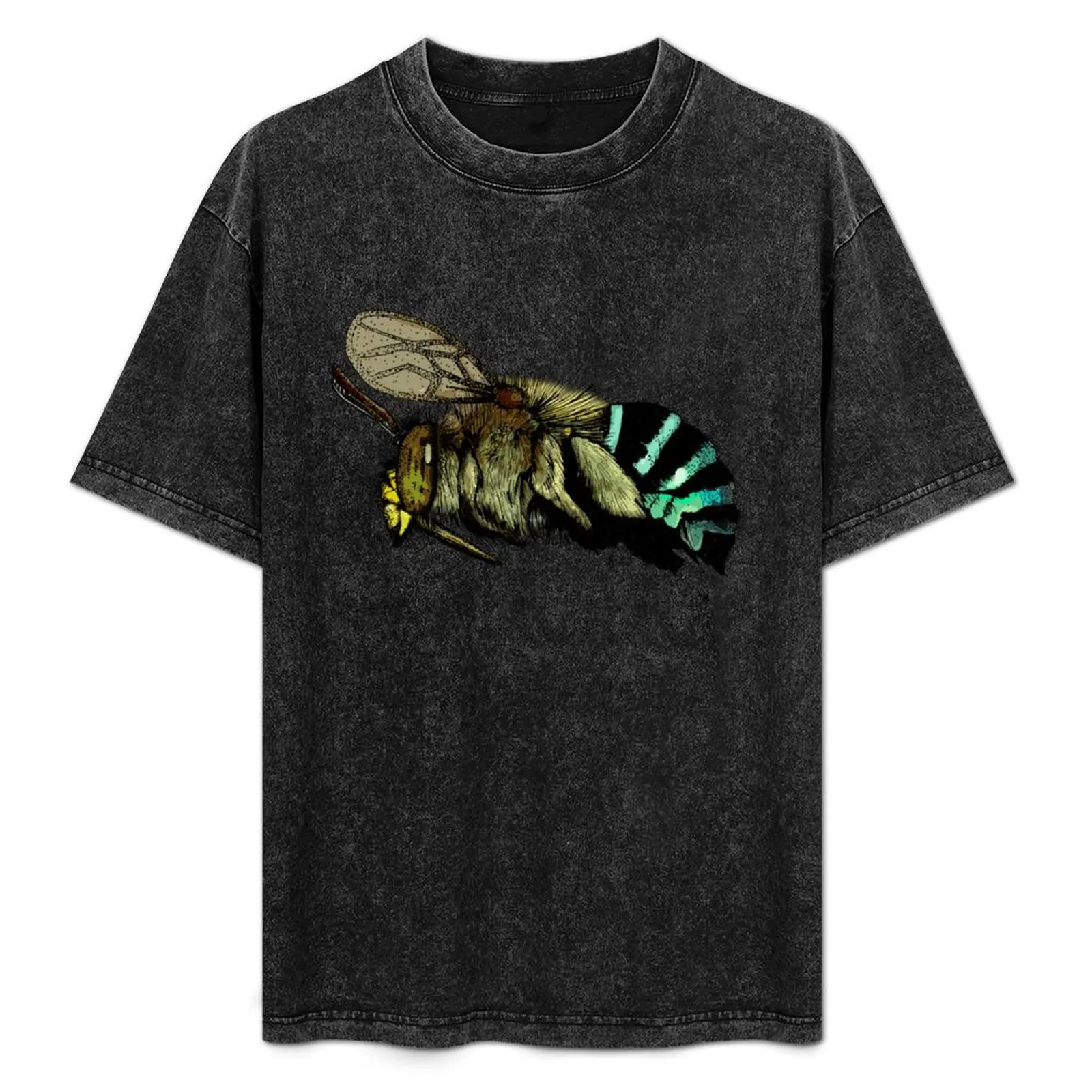 Australian Blue Banded Bee T-Shirt Casual Daily Graphic Tee
Australian Blue Banded Bee T-Shirt Casual Daily Graphic Tee