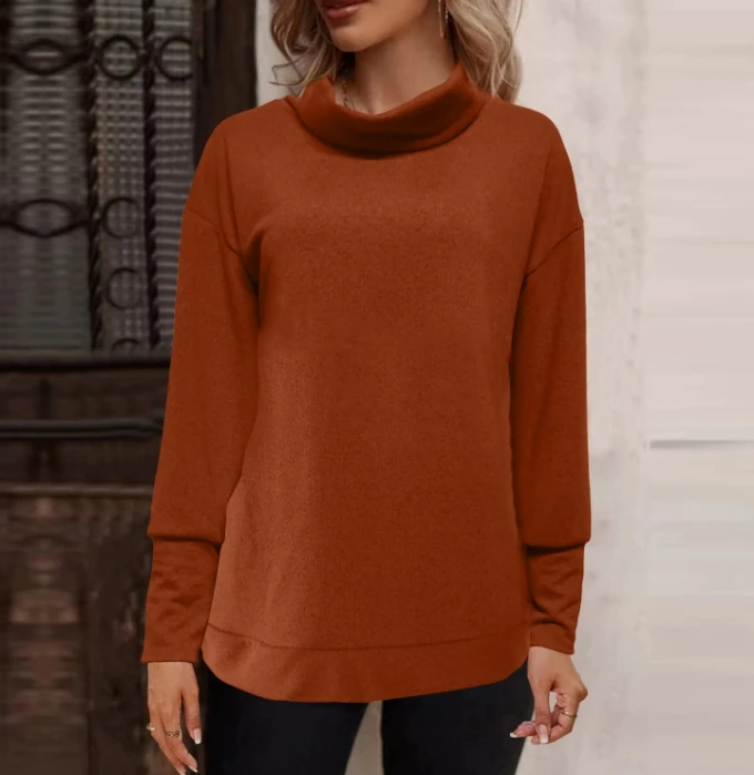 2023 Autumn Winter Spring New Fashion Casual High Collar Sweater Cashmere Brushed Knit Female Clothing T-Shirts Pullover Tops
2023 Autumn Winter Spring New Fashion Casual High Collar Sweater Cashmere Brushed Knit Female Clothing T-Shirts Pullover Tops