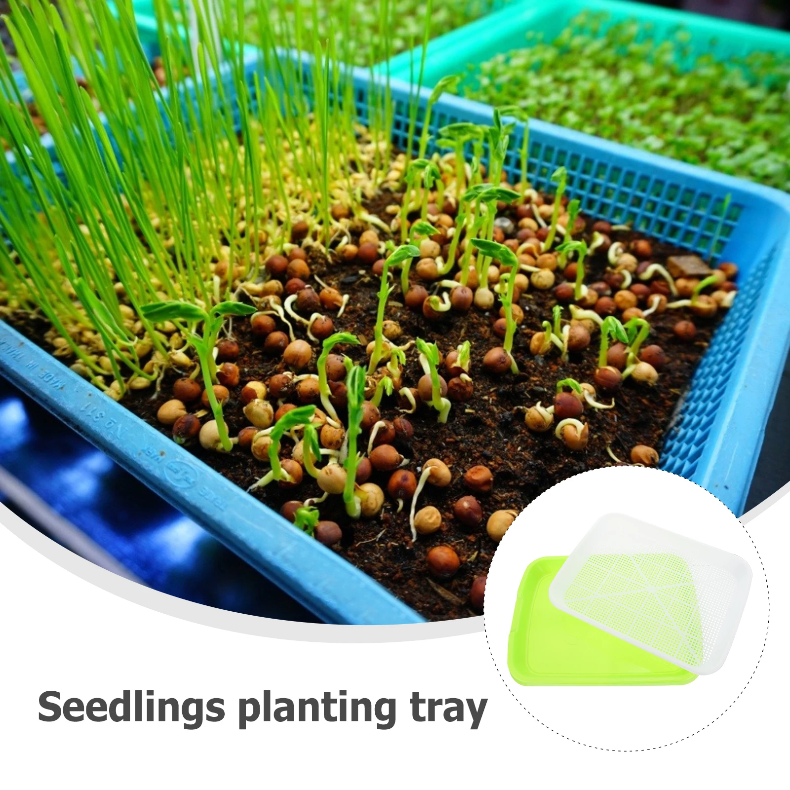 2 Sets Seedling Tray DIY Hydroponic Planting Suite Sprouting Tray Germination Box Grass Sprouting Box Food Grade Safe Durable
2 Sets Seedling Tray DIY Hydroponic Planting Suite Sprouting Tray Germination Box Grass Sprouting Box Food Grade Safe Durable