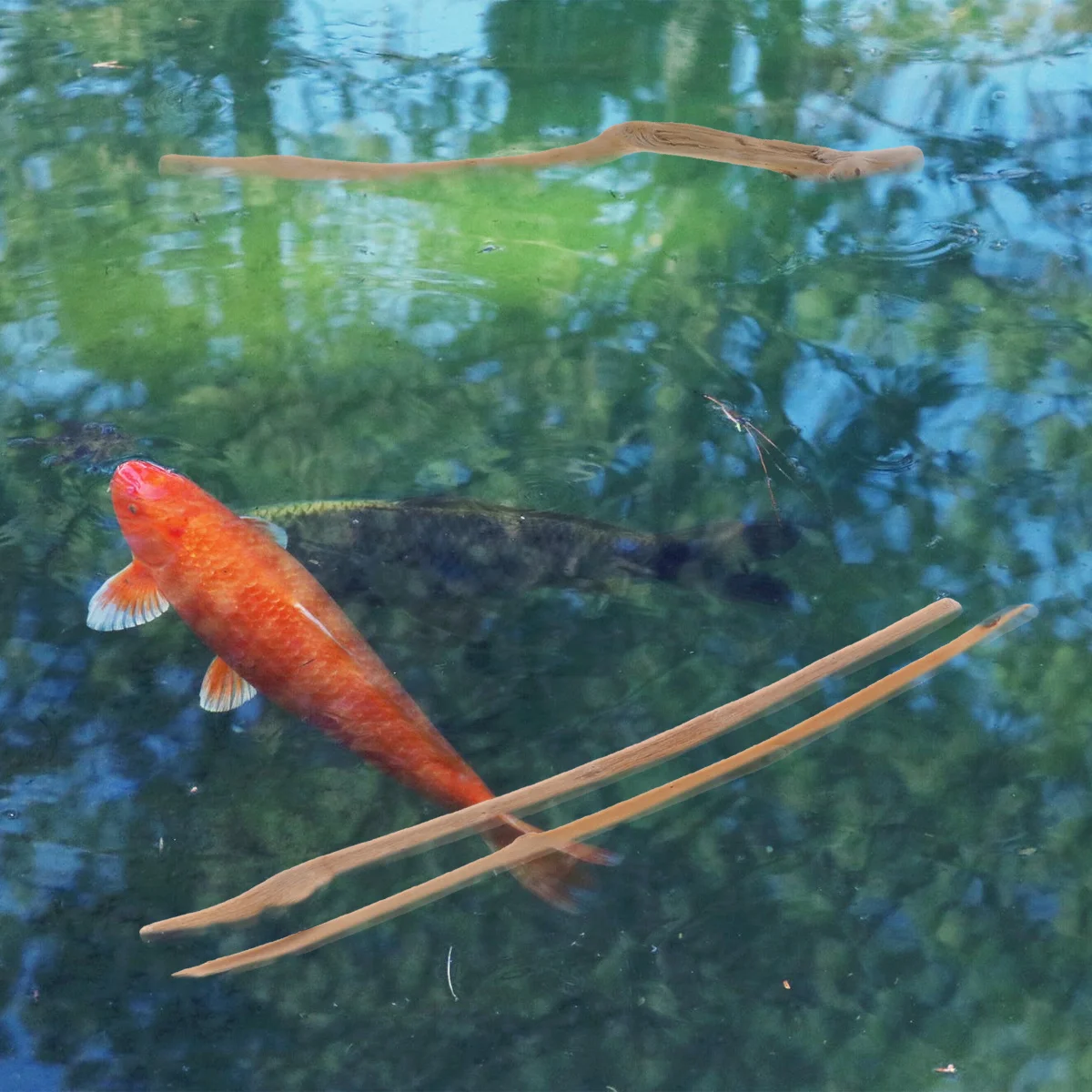 1 set 1 Set Of Long Natural Driftwood Decoration For Aquarium Fish Tank Ph Buffering Ornament Driftwood Adornment Fish Tank
1 set 1 Set Of Long Natural Driftwood Decoration For Aquarium Fish Tank Ph Buffering Ornament Driftwood Adornment Fish Tank