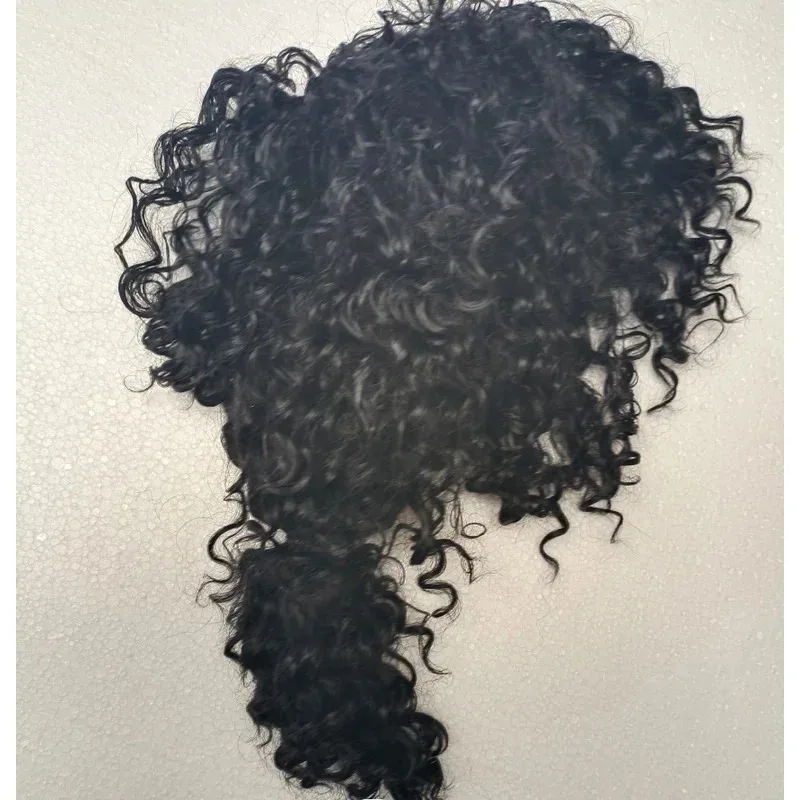 Michael Jackson/Black Screws Black Hair , Short Hair Pigtail Wig
Michael Jackson/Black Screws Black Hair , Short Hair Pigtail Wig