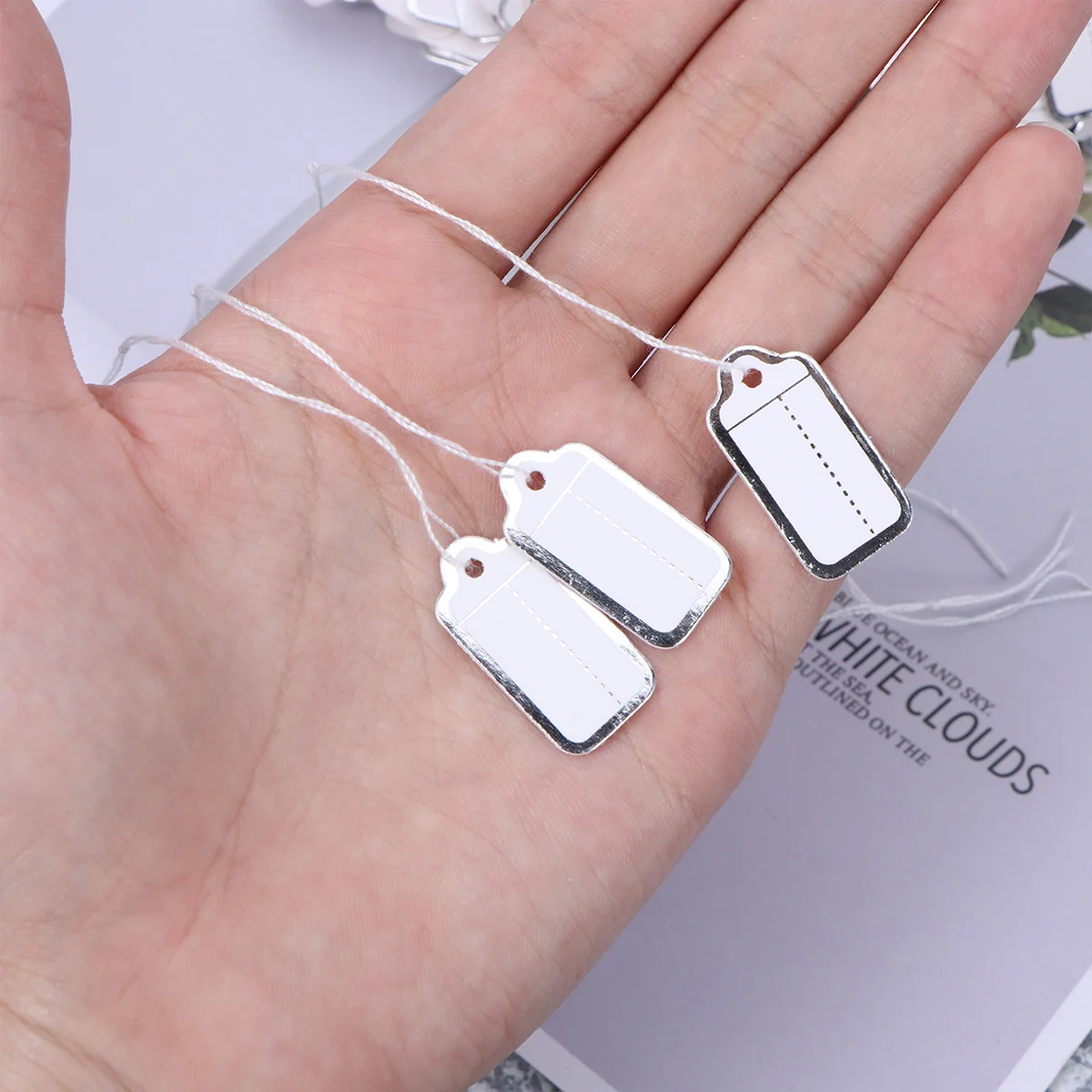 500Pcs Price Label Tags White Paperboard Silver Blocking Hanging String for Jewelry Clothing Shoes Stationery Price Tags
500Pcs Price Label Tags White Paperboard Silver Blocking Hanging String for Jewelry Clothing Shoes Stationery Price Tags