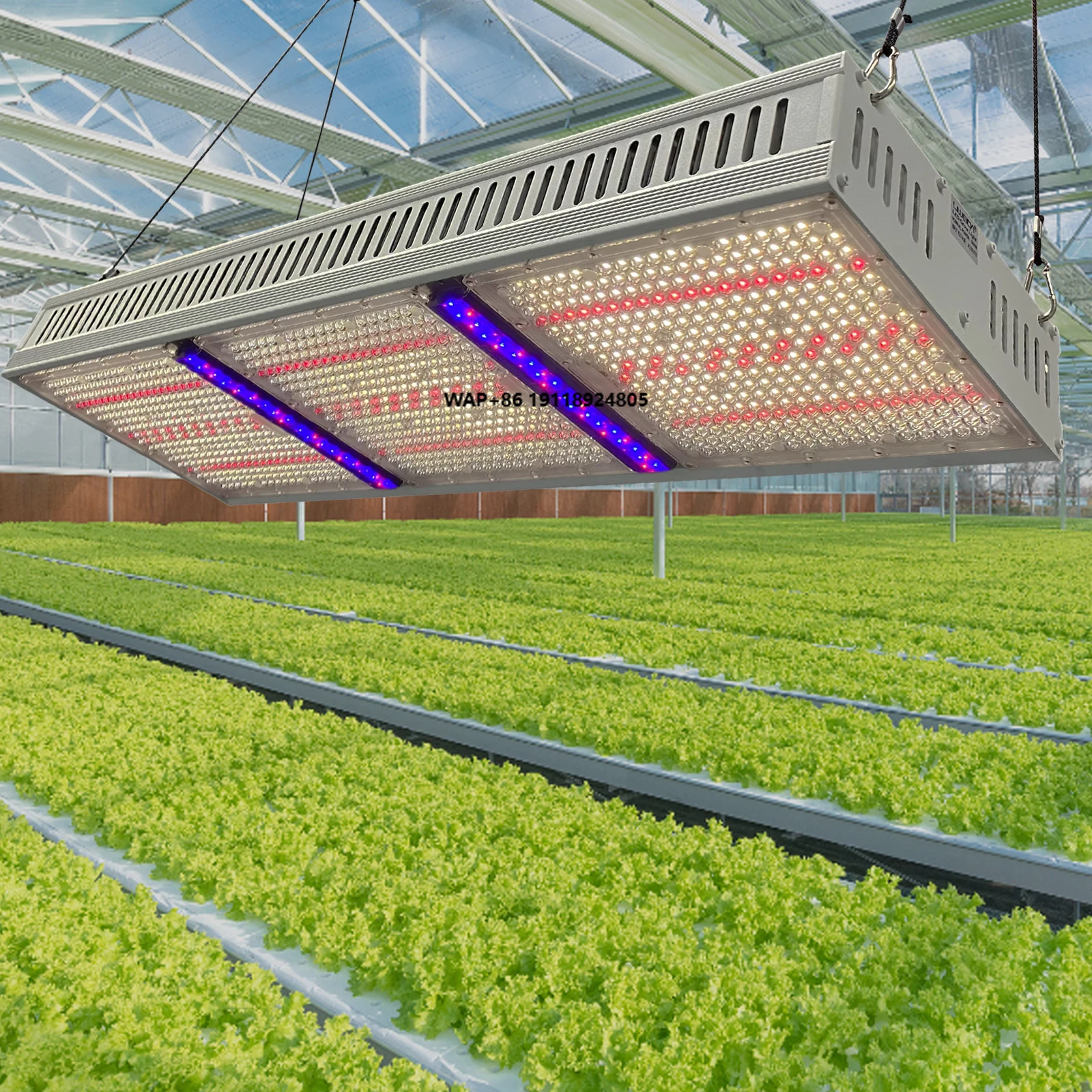 1000 Watt Indoor Panel Growth Lamp SMD Commercial Greenhouse Plant for Light Full Spectrum Dimmable 4000K 660nm Bloom
1000 Watt Indoor Panel Growth Lamp SMD Commercial Greenhouse Plant for Light Full Spectrum Dimmable 4000K 660nm Bloom