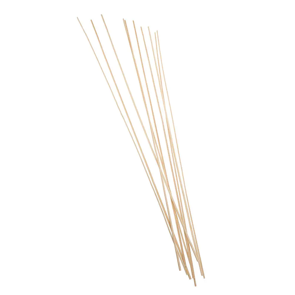 10Pcs Bamboo Kite Frame Dowels 23.9x0.2 Inch Beginner Friendly Lightweight DIY Kite Supplies Outdoor Activity Set
10Pcs Bamboo Kite Frame Dowels 23.9x0.2 Inch Beginner Friendly Lightweight DIY Kite Supplies Outdoor Activity Set