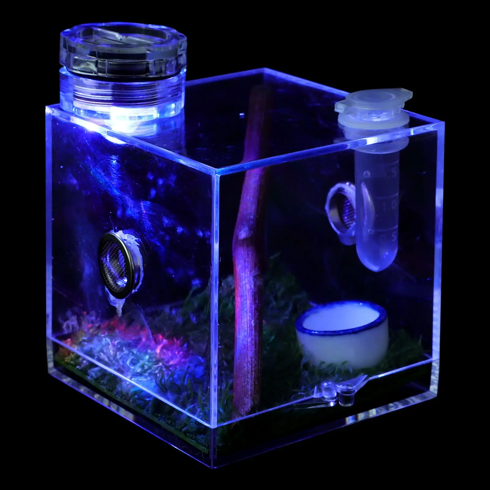 2pcs Jumping Spider Breeding Box High Quality Clear Habitat Kit Pet with Light for Spiders Insect House Cage
2pcs Jumping Spider Breeding Box High Quality Clear Habitat Kit Pet with Light for Spiders Insect House Cage