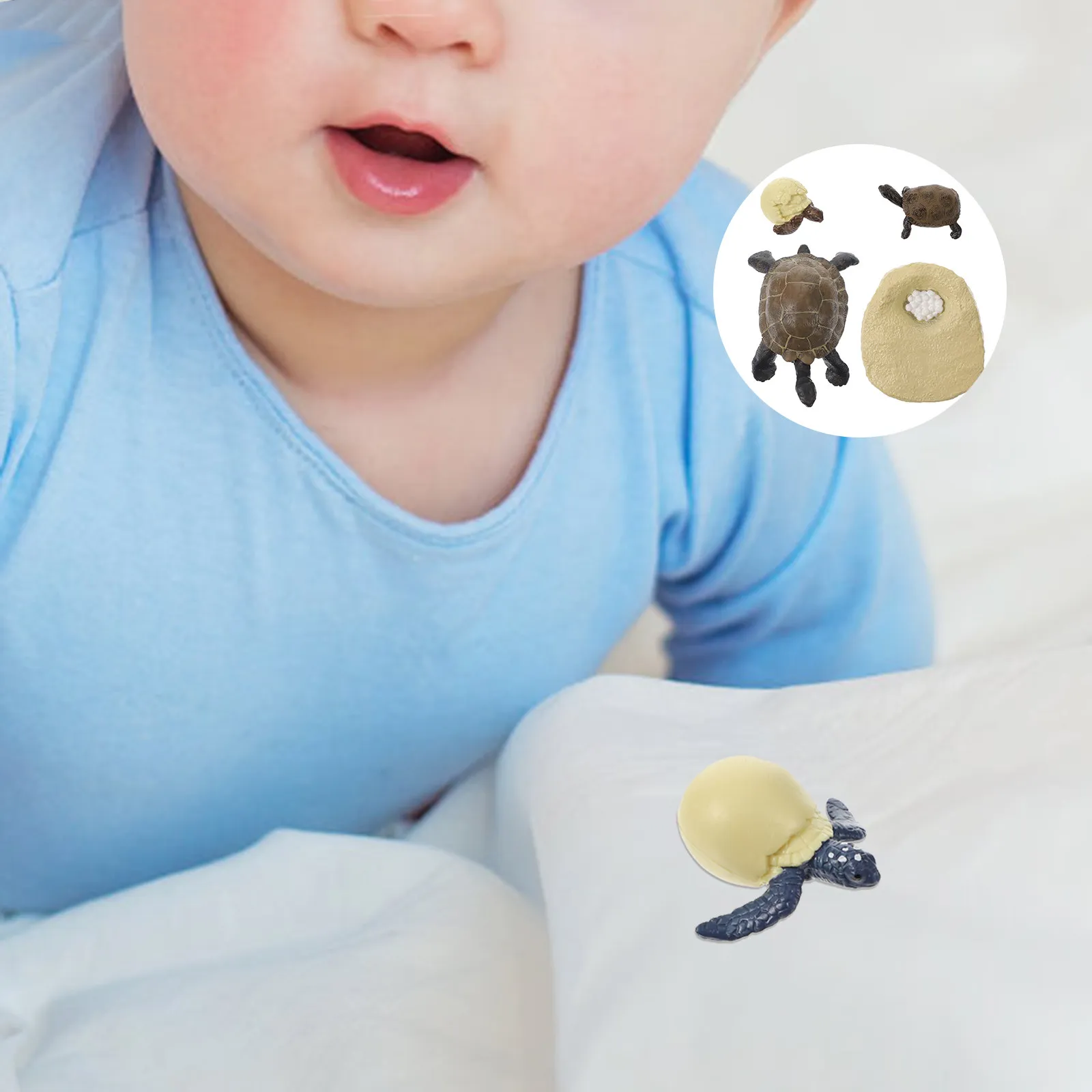 1Set Lifelike Tortoise Growth Cycle Educational Models for Early Learning Preschool Teaching Aids Animal Development Stages
1Set Lifelike Tortoise Growth Cycle Educational Models for Early Learning Preschool Teaching Aids Animal Development Stages