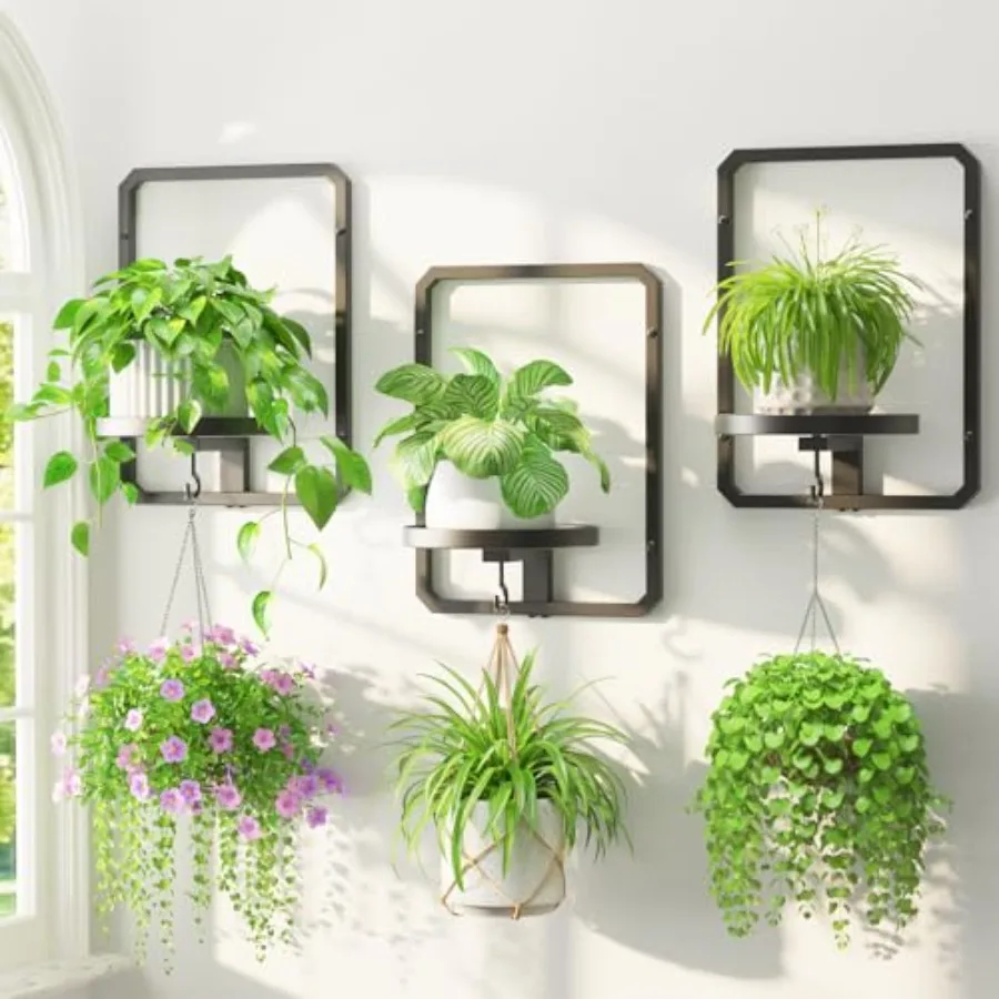 Plant Hangers Holder Wall Mount for Indoor Window, 3 Pack Floating Flower Stand Shelf with Hooks, Metal Picture Frame Hanging P
Plant Hangers Holder Wall Mount for Indoor Window, 3 Pack Floating Flower Stand Shelf with Hooks, Metal Picture Frame Hanging P