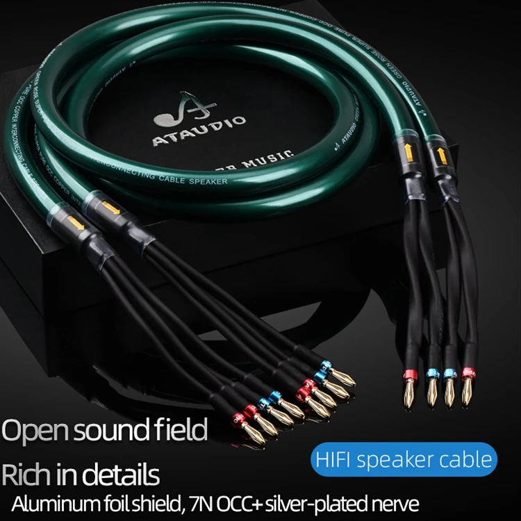 Green rose OCC+silver-plated Nerve Wire Speaker Cable Audio Hifi Two-wire Split Speaker Cable
Green rose OCC+silver-plated Nerve Wire Speaker Cable Audio Hifi Two-wire Split Speaker Cable