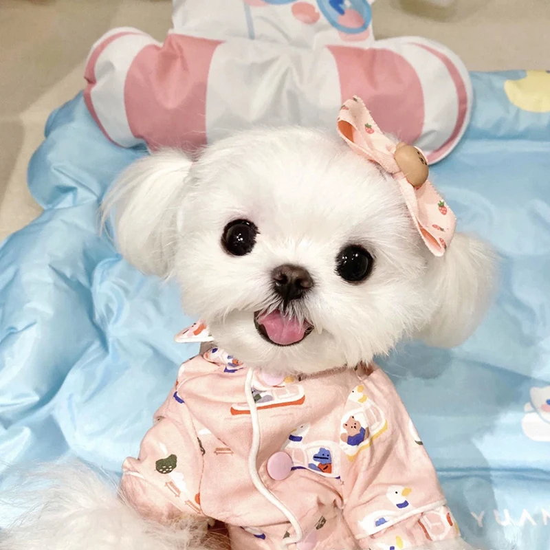 Spring and Summer Pet Home Clothing Princess Style Cat and Dog Clothes Small Cat and Dog Shirt
Spring and Summer Pet Home Clothing Princess Style Cat and Dog Clothes Small Cat and Dog Shirt
