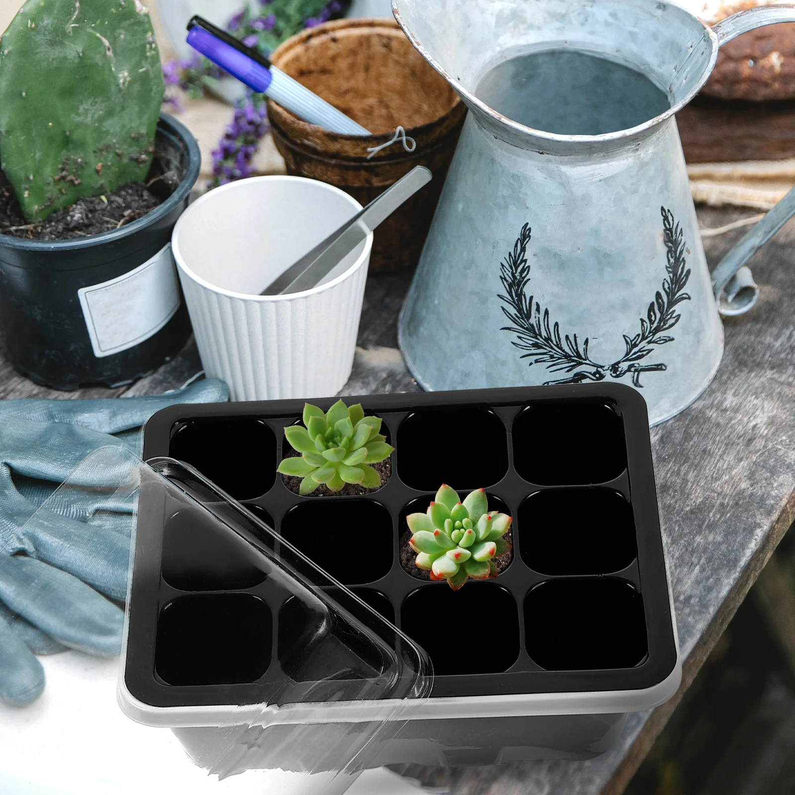 12pcs 12 Cells Seedling Tray Set Black Plastic 12 Peat Pellets Starter Trays Growing Garden Propagator Supplies Planting Boxes
12pcs 12 Cells Seedling Tray Set Black Plastic 12 Peat Pellets Starter Trays Growing Garden Propagator Supplies Planting Boxes