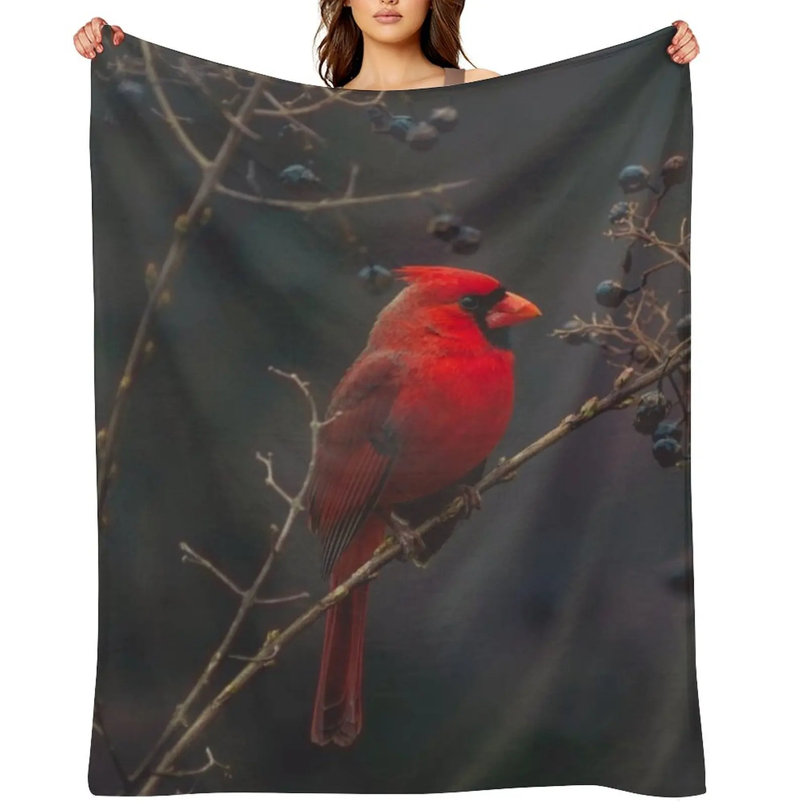 Male Cardinal Throw Blanket Flannel Fabric Decorative Sofa Cute Plaid Nap Blankets
Male Cardinal Throw Blanket Flannel Fabric Decorative Sofa Cute Plaid Nap Blankets