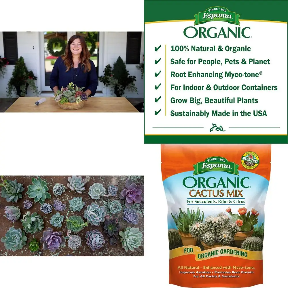 Organic Cactus & Succulent Potting Mix, 4 Quarts, Case of 12 for Indoor & Outdoor Plants
Organic Cactus & Succulent Potting Mix, 4 Quarts, Case of 12 for Indoor & Outdoor Plants