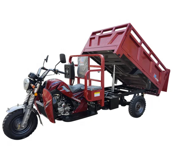 【Best-selling】Best Selling 200cc Hydraulic Dump Three-Wheel Cargo Truck High Quality Motorized Open Reverse Tricycle
【Best-selling】Best Selling 200cc Hydraulic Dump Three-Wheel Cargo Truck High Quality Motorized Open Reverse Tricycle
