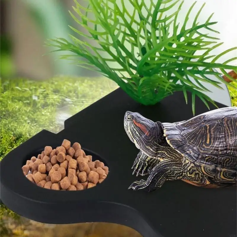 Versatile Turtles Resting Platform Fun Tunnel Turtles Platform Turtles Terraces for Active Reptiles Q5WC
Versatile Turtles Resting Platform Fun Tunnel Turtles Platform Turtles Terraces for Active Reptiles Q5WC
