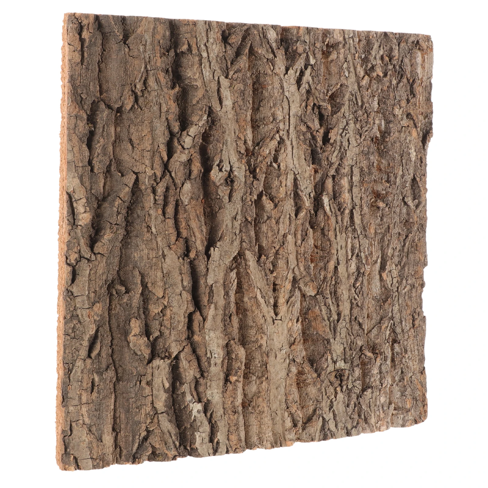 Real Bark Background Board 30x30cm Natural Terrarium Reptile Decor Enclosure Accessories Cork Bark Pet Supplies
Real Bark Background Board 30x30cm Natural Terrarium Reptile Decor Enclosure Accessories Cork Bark Pet Supplies