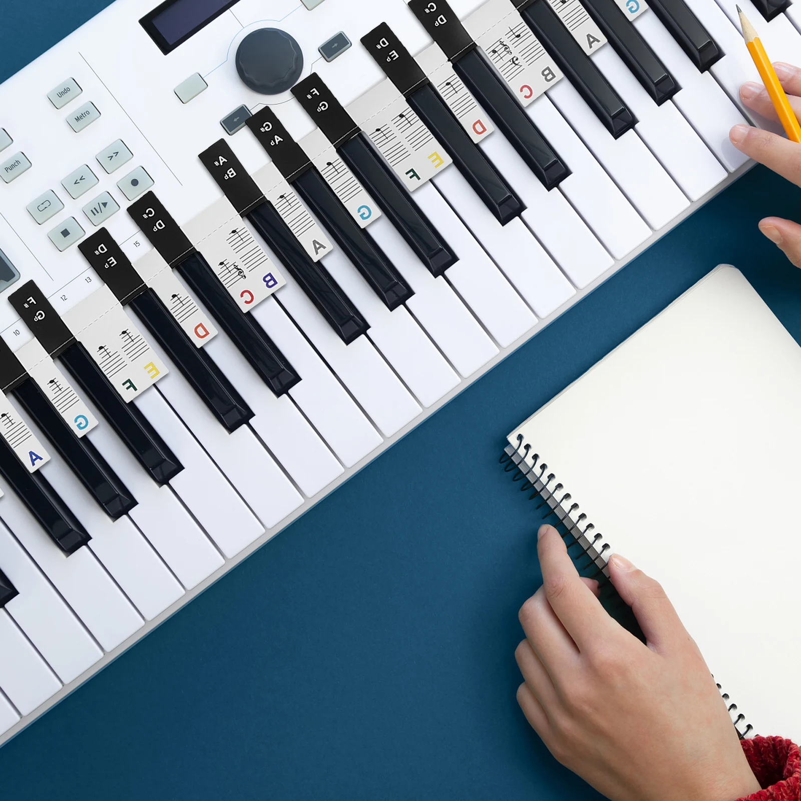 1 set Piano Keyboard Stickers Fade Resistant Colorful Design Easy Install Compatible with All Keyboards Accessories for Kids
1 set Piano Keyboard Stickers Fade Resistant Colorful Design Easy Install Compatible with All Keyboards Accessories for Kids