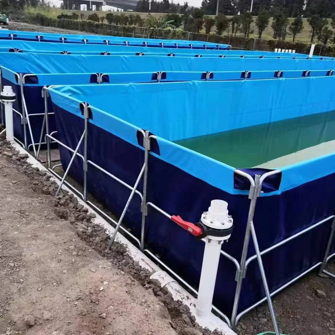 Fish Farming Companies of China Shrimp Ras Aquaculture PVC fish Pond Fish Farming tank plastic 95000L
Fish Farming Companies of China Shrimp Ras Aquaculture PVC fish Pond Fish Farming tank plastic 95000L
