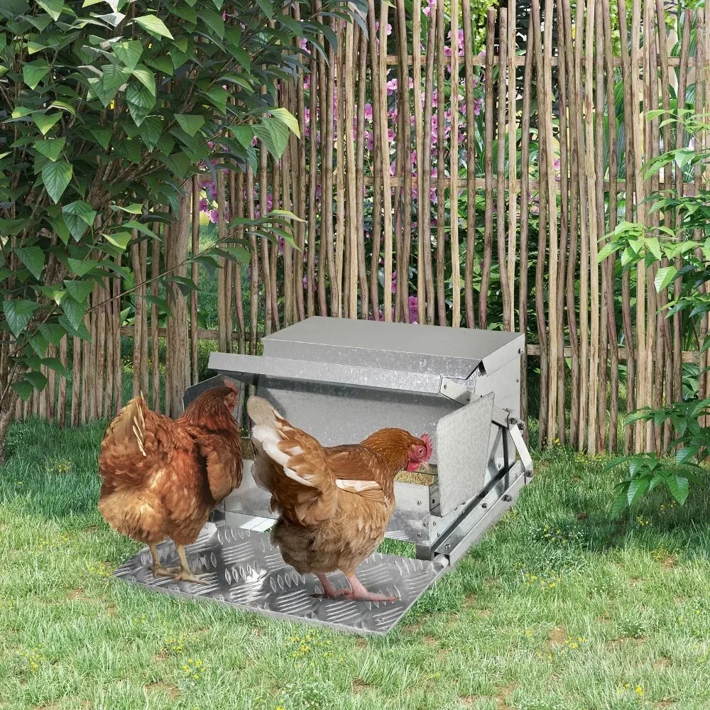 Automatic Chicken Feeder Galvanized Steel Poultry Feeders, 25 Lbs of Feeds
Automatic Chicken Feeder Galvanized Steel Poultry Feeders, 25 Lbs of Feeds
