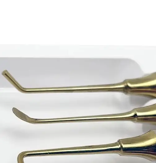5 Pcs Dental Implant Sinus Lift Elevator Double Ended Stainless Steel Tool for Bone Grafting Oral and Periodontal Surgery
5 Pcs Dental Implant Sinus Lift Elevator Double Ended Stainless Steel Tool for Bone Grafting Oral and Periodontal Surgery