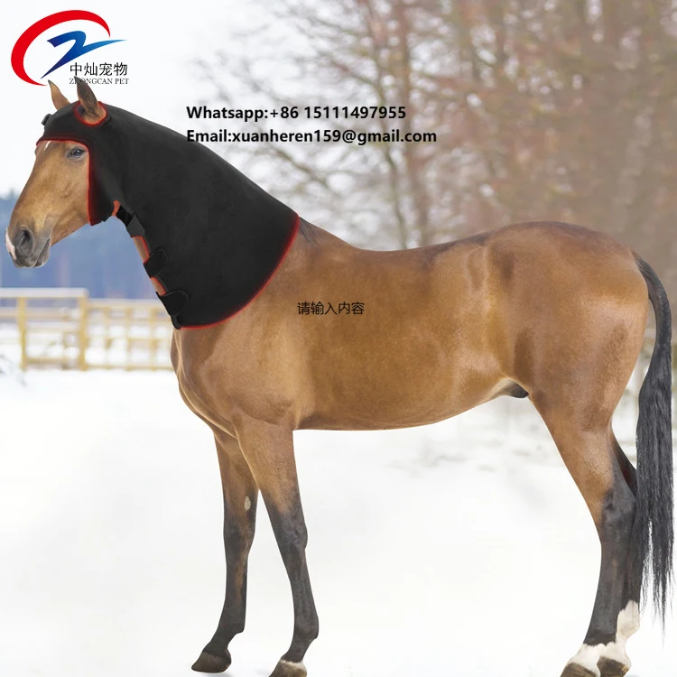 Popular High-end Infrared Therapeutic Equipment Specifically for Horses Used in Home Ranches
Popular High-end Infrared Therapeutic Equipment Specifically for Horses Used in Home Ranches