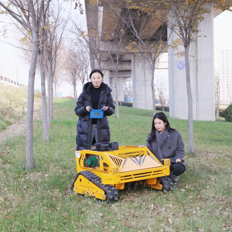 Индивидуальная китайская фабрика с горячим нулевым поворотом 500, автоматическая гусеничная газонокосилка с дистанционным управлением и деталями
Индивидуальная китайская фабрика с горячим нулевым поворотом 500, автоматическая гусеничная газонокосилка с дистанционным управлением и деталями